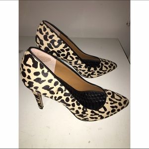 DV Dolce Vita leopard print pumps