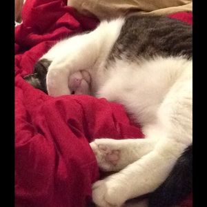 Meet your Posher, Corey