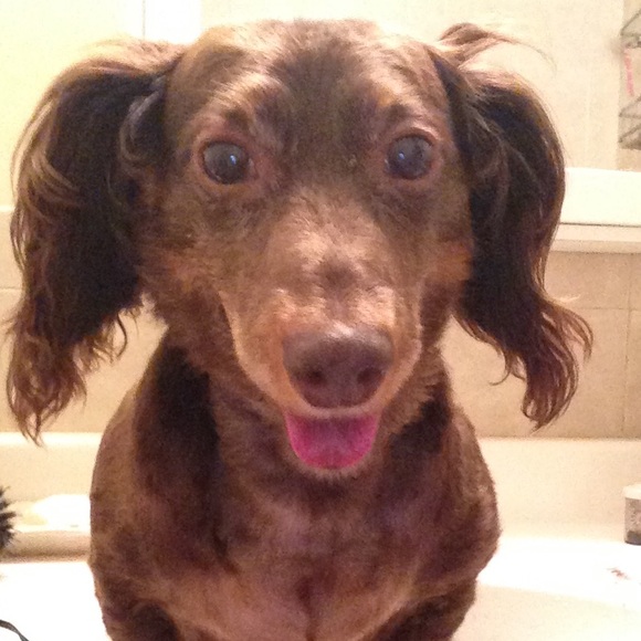 Meet your Posher! - Picture 3 of 4