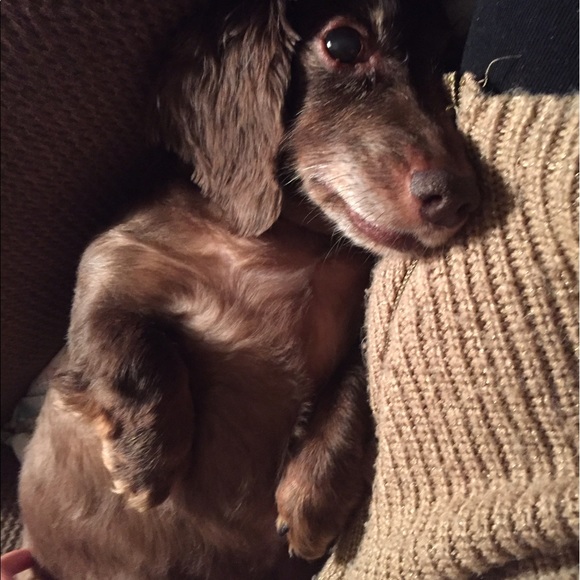 Meet your Posher! - Picture 4 of 4