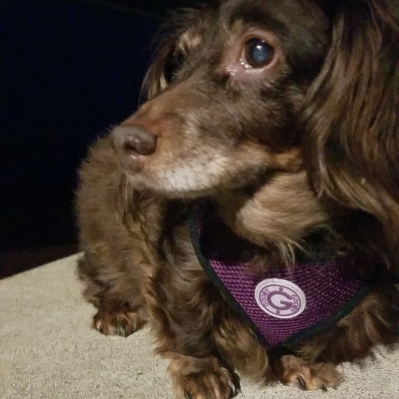 Meet your Posher! - Picture 2 of 4