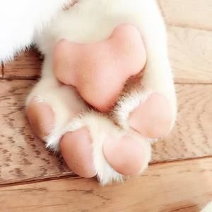 Meet your Posher, Fiona