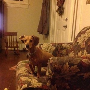 Meet your Posher, Barbara