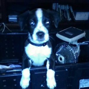 Meet your Posher, Kristen