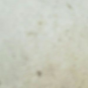 Meet your Posher, Drake