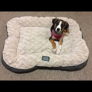 Meet your Posher, Chelsey