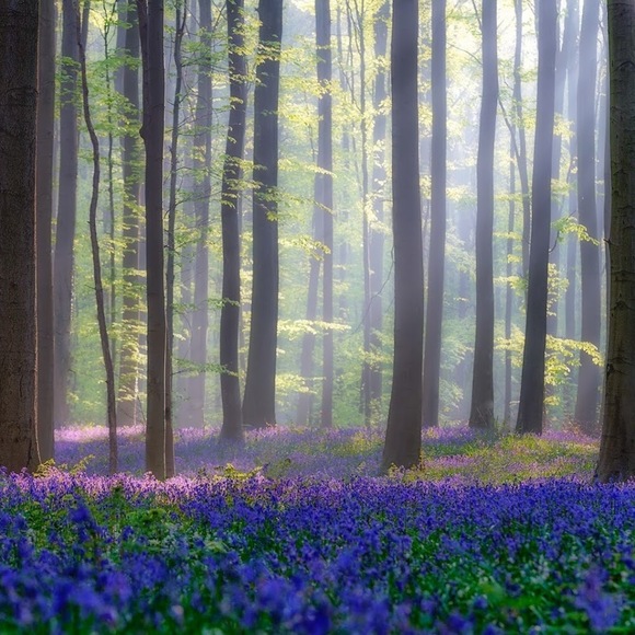 Meet your Posher, Danielle - Picture 1 of 1