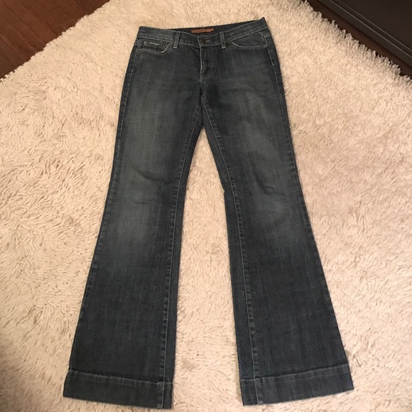 Arden B wide leg jean