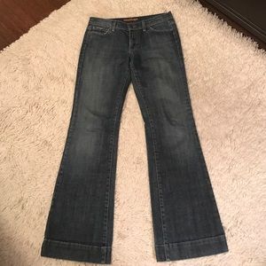 Arden B wide leg jean