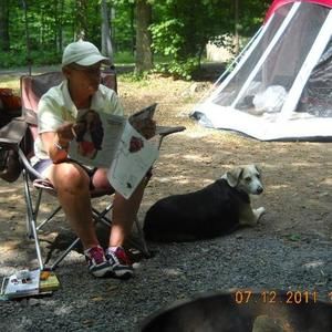 Meet your Posher, Patsy