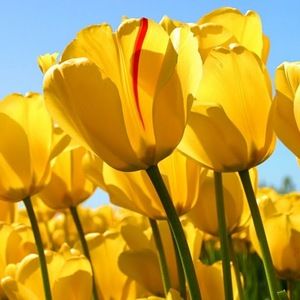 Meet your Posher, Daniela