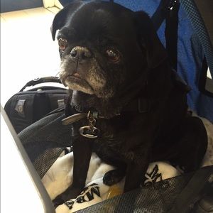 Meet your Posher, Stacy