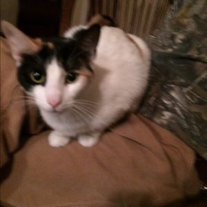 Meet your Posher, Holly