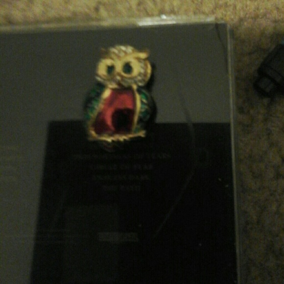 BEAUTIFUL COLORED OWL BROOCH