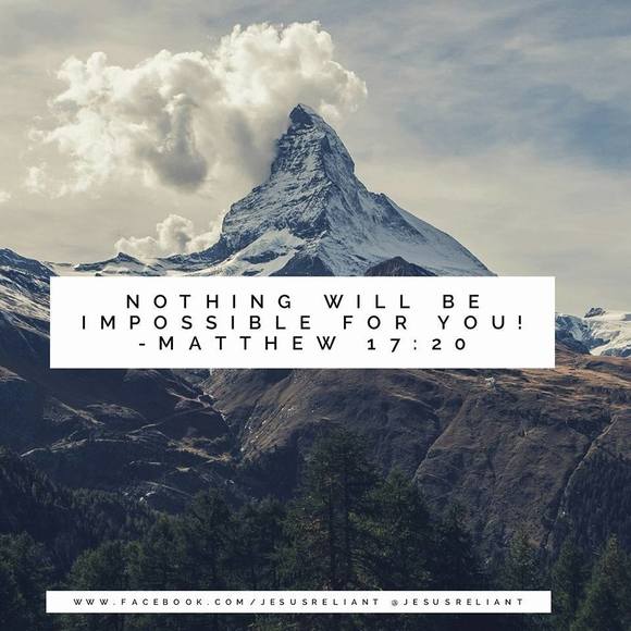 Meet your Posher, Kellyann - Picture 1 of 1