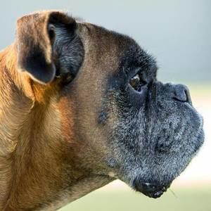 Meet your Posher, Elisabeth