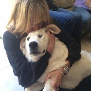 Meet your Posher, Deanne