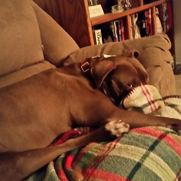 Meet your Posher, Wanda - Picture 1 of 1