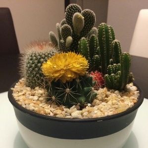 Reserved for @liz_marieli