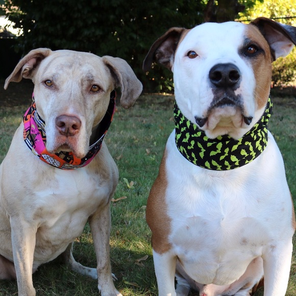 Snoods and Bandanas