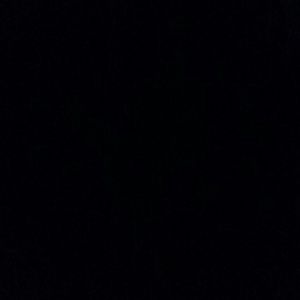 Meet your Posher, Rosa