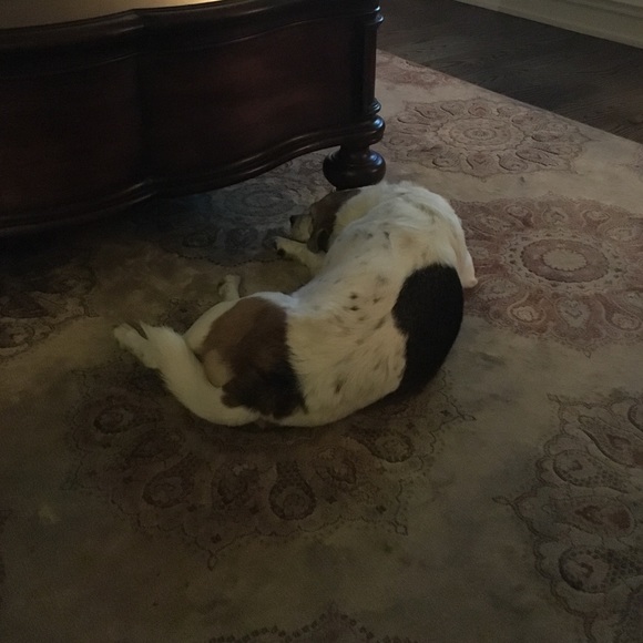 Meet your Posher, Tracey