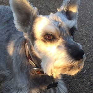 Meet your Posher, Kathy