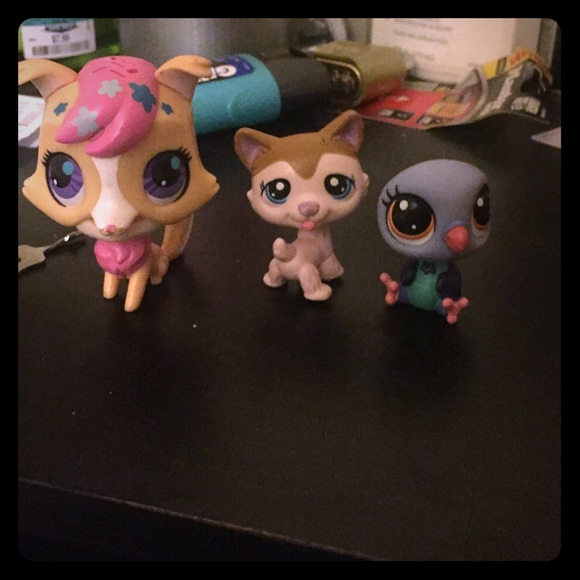 3 cute littlest pet shop toys