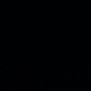 Meet your Posher, Nicholas