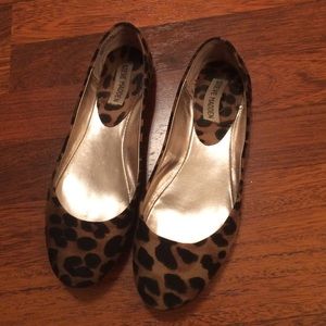 Leopard Steve Madden flats