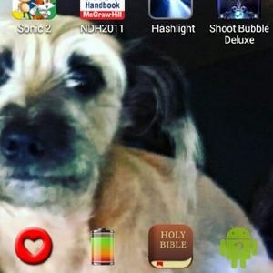 Meet your Posher, Pepper