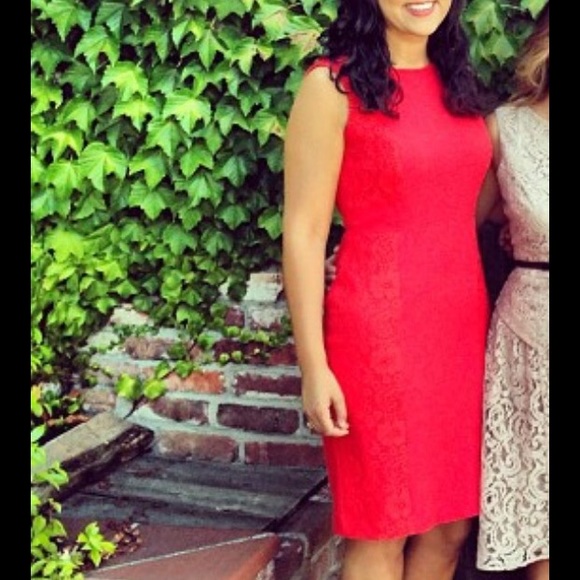 Knee length dress with gorgeous lace details