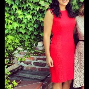 Knee length dress with gorgeous lace details