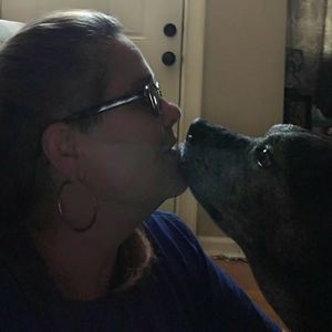 Meet your Posher, Joyce