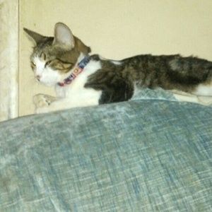 Meet your Posher, Alondra