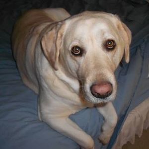 Meet your Posher, Jill