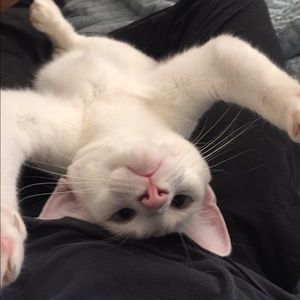 Meet your Posher, Carl