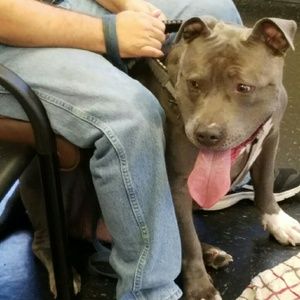 Meet your Posher, Reuben