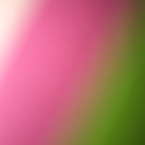 Meet your Posher, Candice