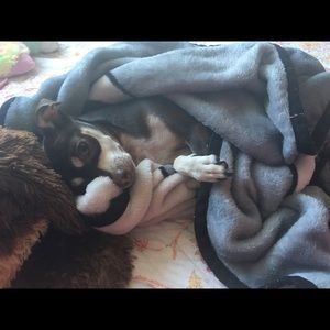 Meet your Posher, Grace