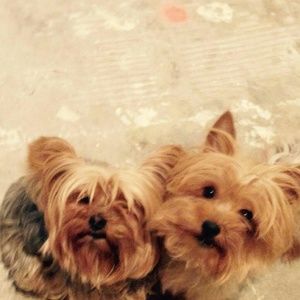 Meet your Posher, Kristie