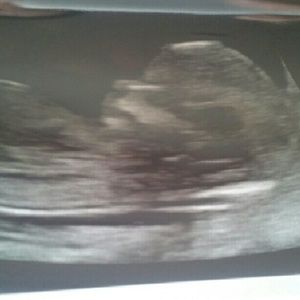 Meet your Posher, Cayce