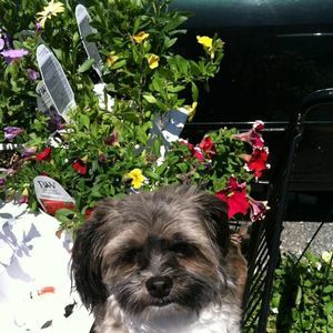 Meet your Posher, Wendy