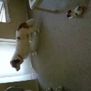 Meet your Posher, Karla