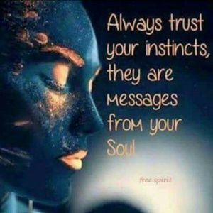 Meet your Posher, Ronald