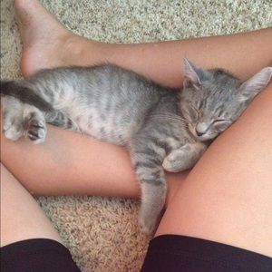 Meet your Posher, Mya