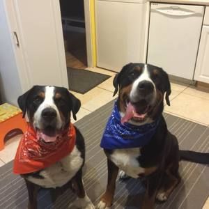 Meet your Posher, Christa