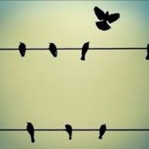 Meet your Posher, Christy