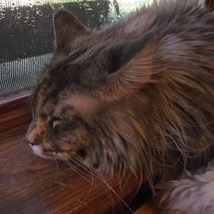 Meet your Posher, Cathy