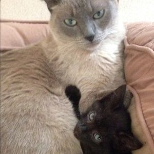 Meet your Posher, Jackie